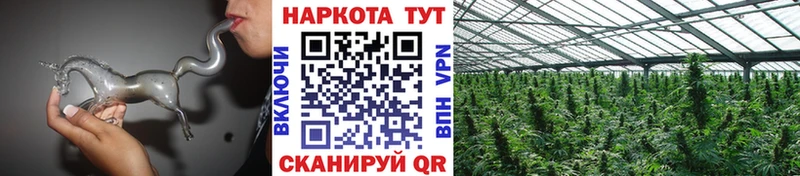 Цена Новосиль Метадон  МЕФ  Альфа ПВП  Канабис  MEGA рабочий сайт  Кокаин 