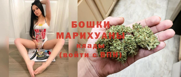 трава Абаза