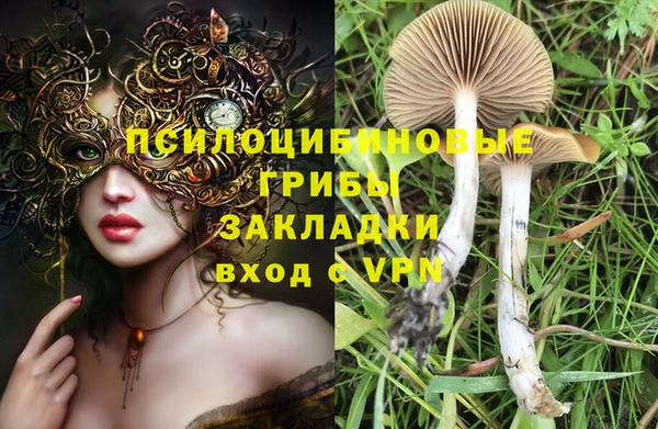 a pvp Алексин