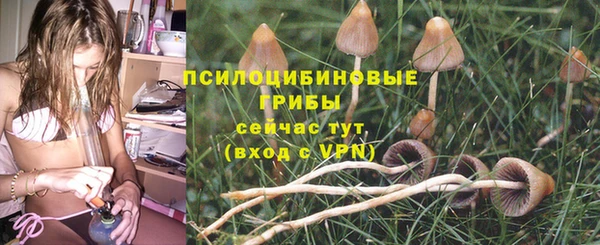 не бодяженный Алзамай