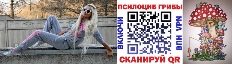 Галлюциногенные грибы мицелий  Новосиль 